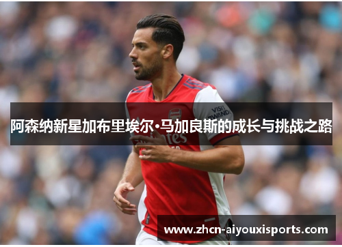 阿森纳新星加布里埃尔·马加良斯的成长与挑战之路
