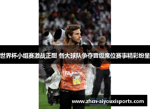 世界杯小组赛激战正酣 各大球队争夺晋级席位赛事精彩纷呈