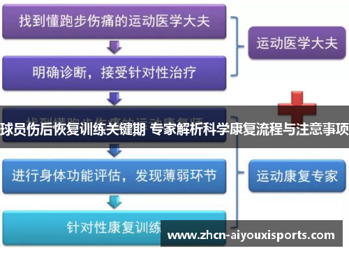 球员伤后恢复训练关键期 专家解析科学康复流程与注意事项