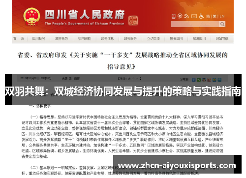 双羽共舞：双城经济协同发展与提升的策略与实践指南