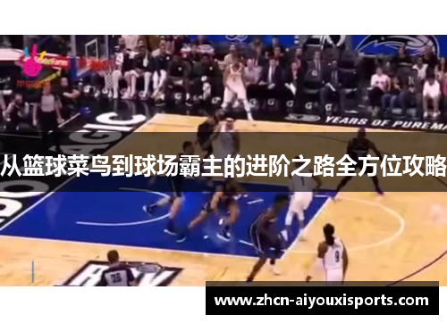 从篮球菜鸟到球场霸主的进阶之路全方位攻略