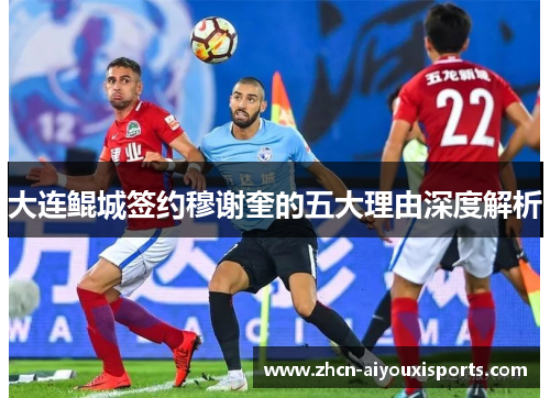 大连鲲城签约穆谢奎的五大理由深度解析